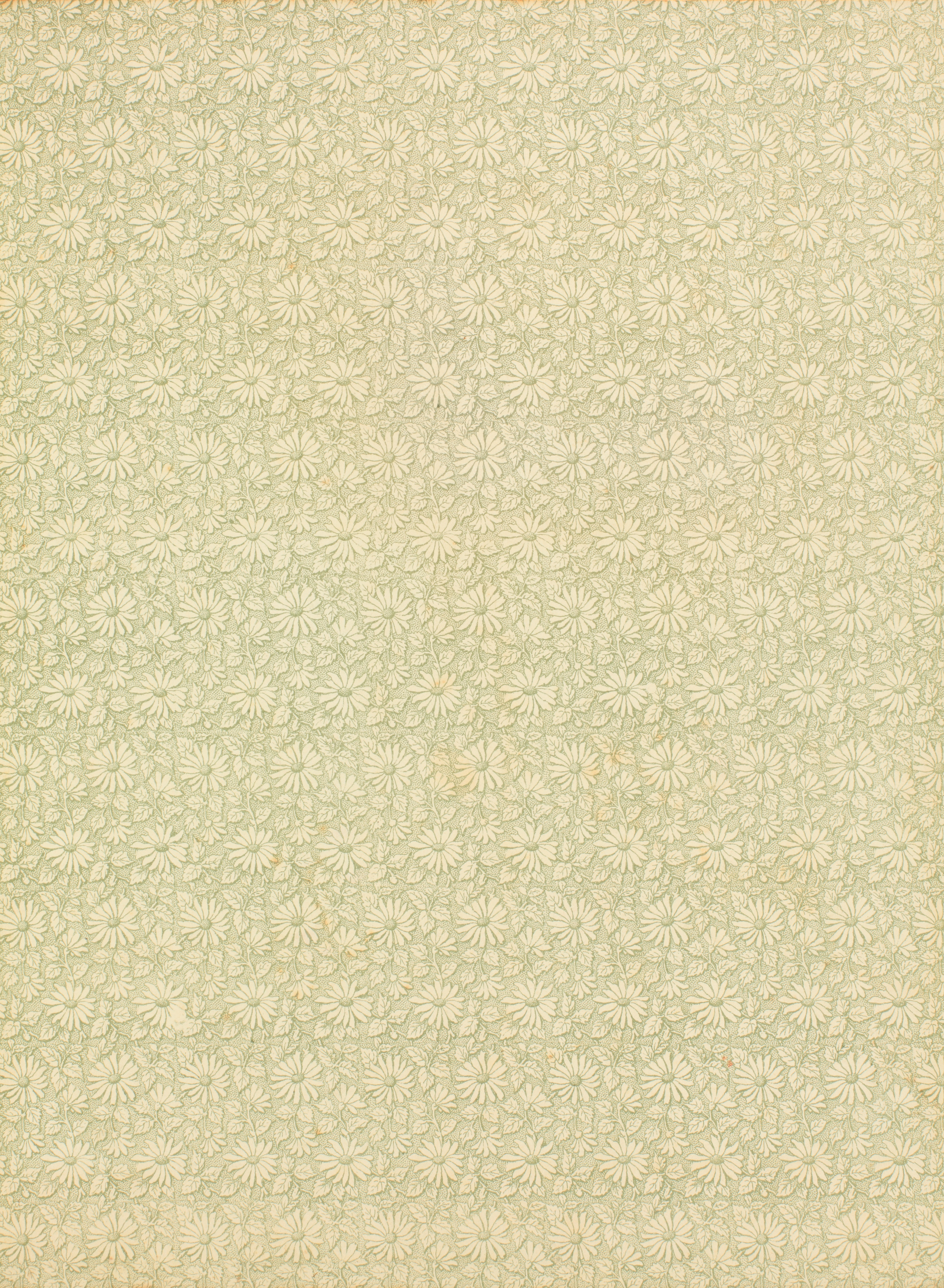 Old Floral Pattern Paper